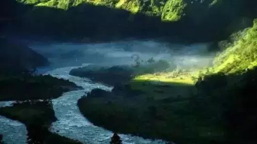 “太平鸟”嫩江畔越冬 一动一静皆似水墨画