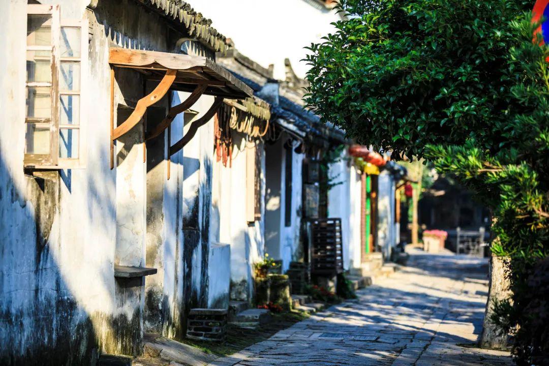 梦想之森